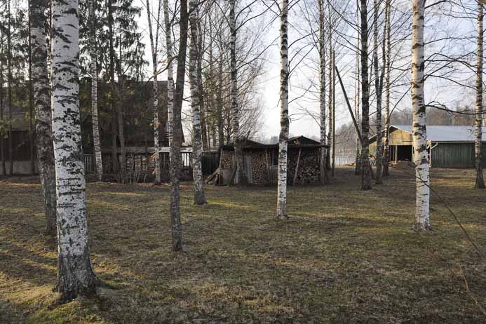 Wood storage_Holzvoräte, Räpina, Räpina Parish, Pölva County