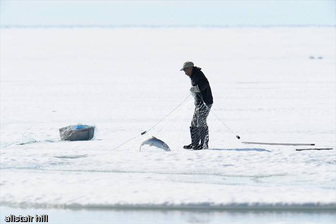 301_D317017 the catch is Arctic Char (24 von 288)